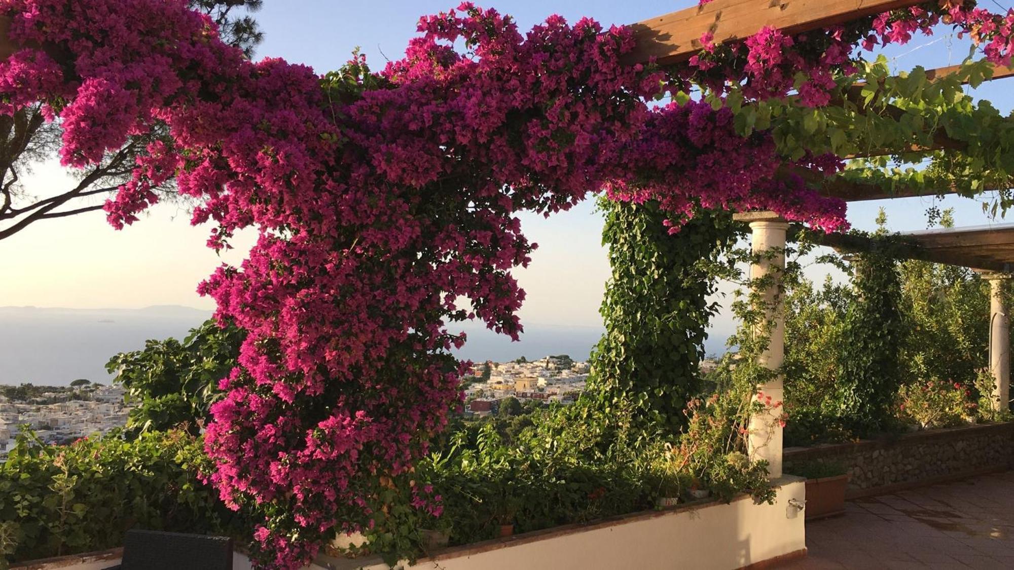 Casa Blu Hotell Anacapri  Exteriör bild